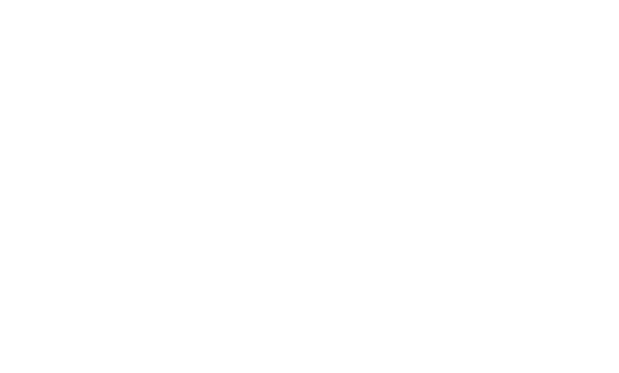 SSS- Spade Security Brand Logos_Portrait logo white -Full